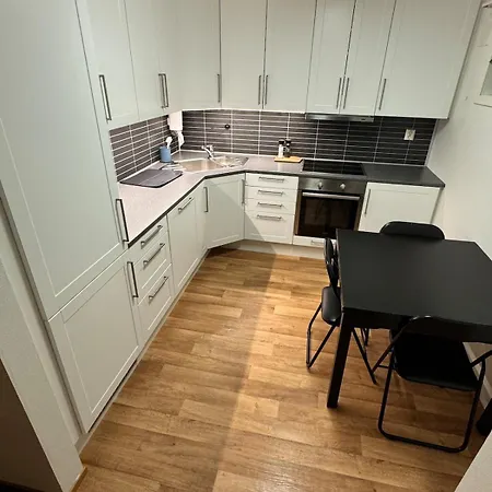 Downtown With Wood-burning Stove Apartment *